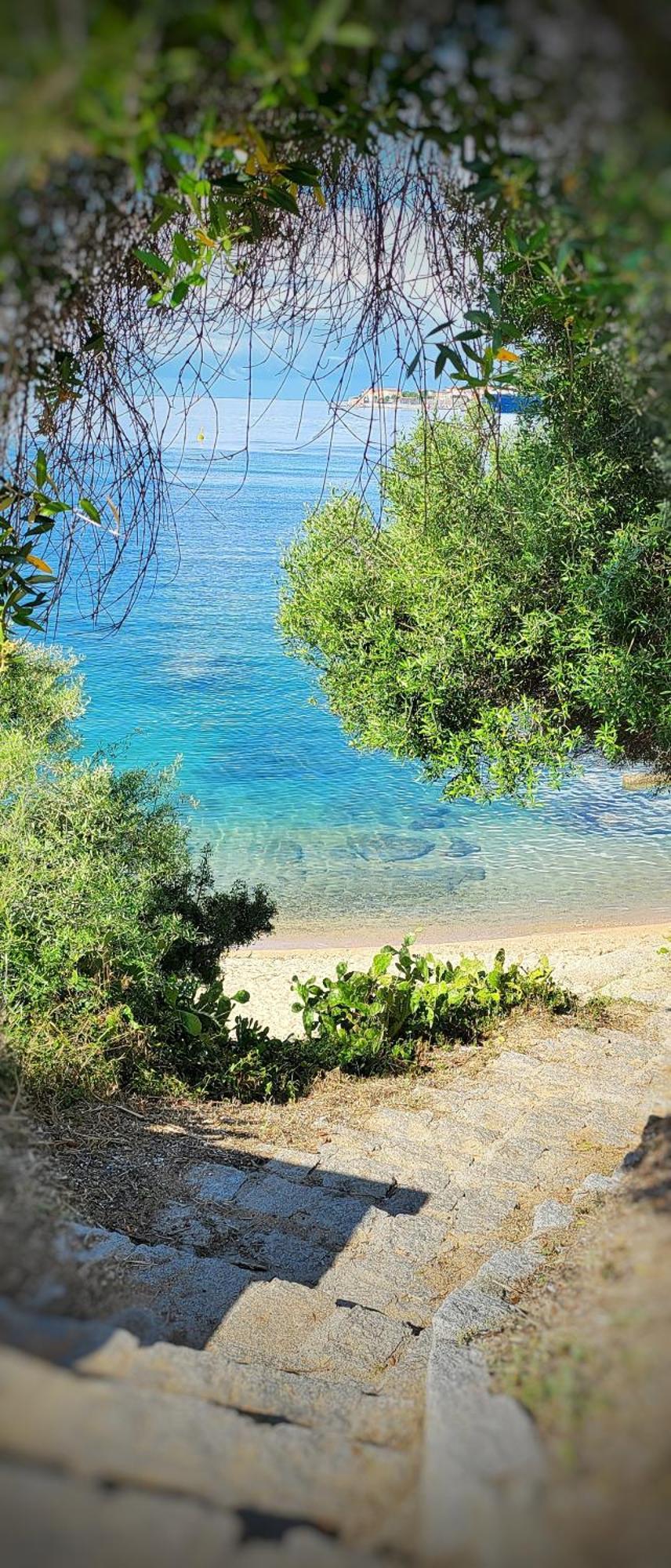 Appartement Entier, Climatise, Vue Mer Ajaccio  Eksteriør billede